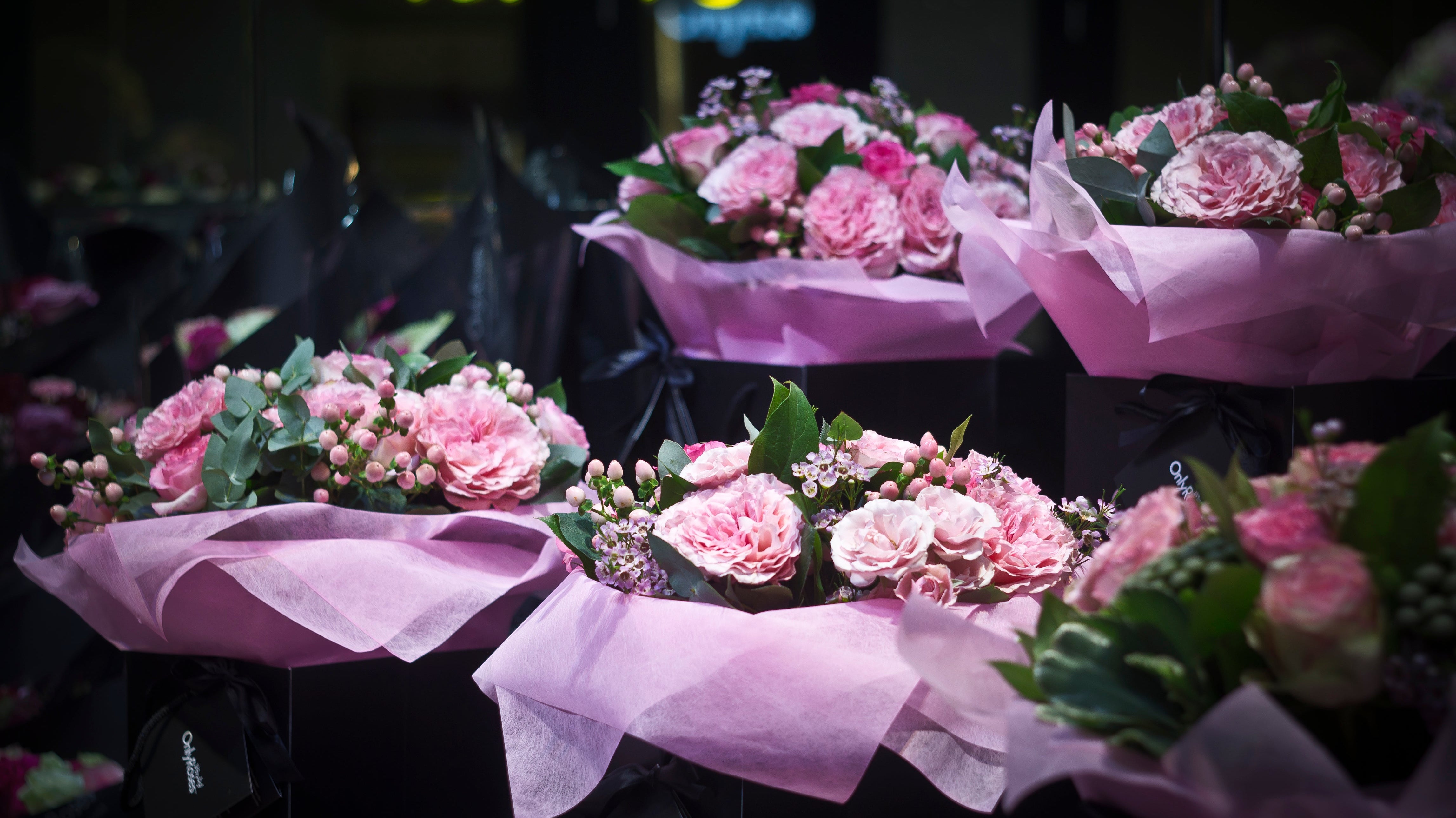 Celebrating International Women’s Day 2026: Honouring Achievements, Inspiring Futures