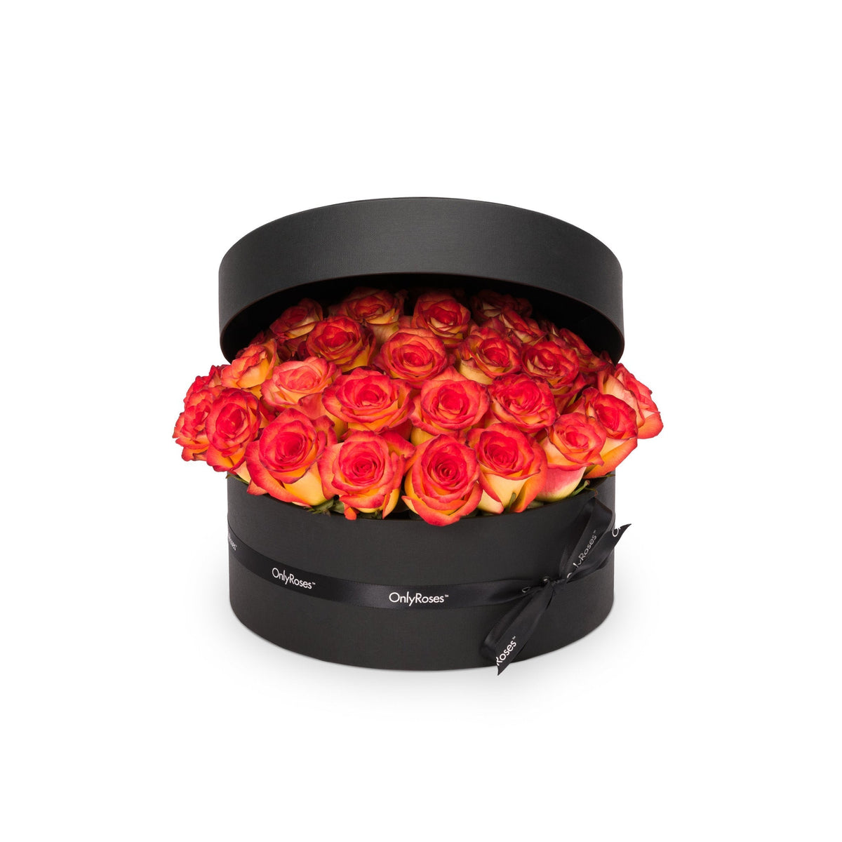 Classic Rose Manhattan by OnlyRoses Kuwait