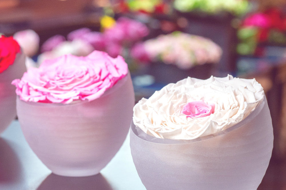 Infinite Roses® — Luxury Preserved Roses That Last Without Water by OnlyRoses Kuwait