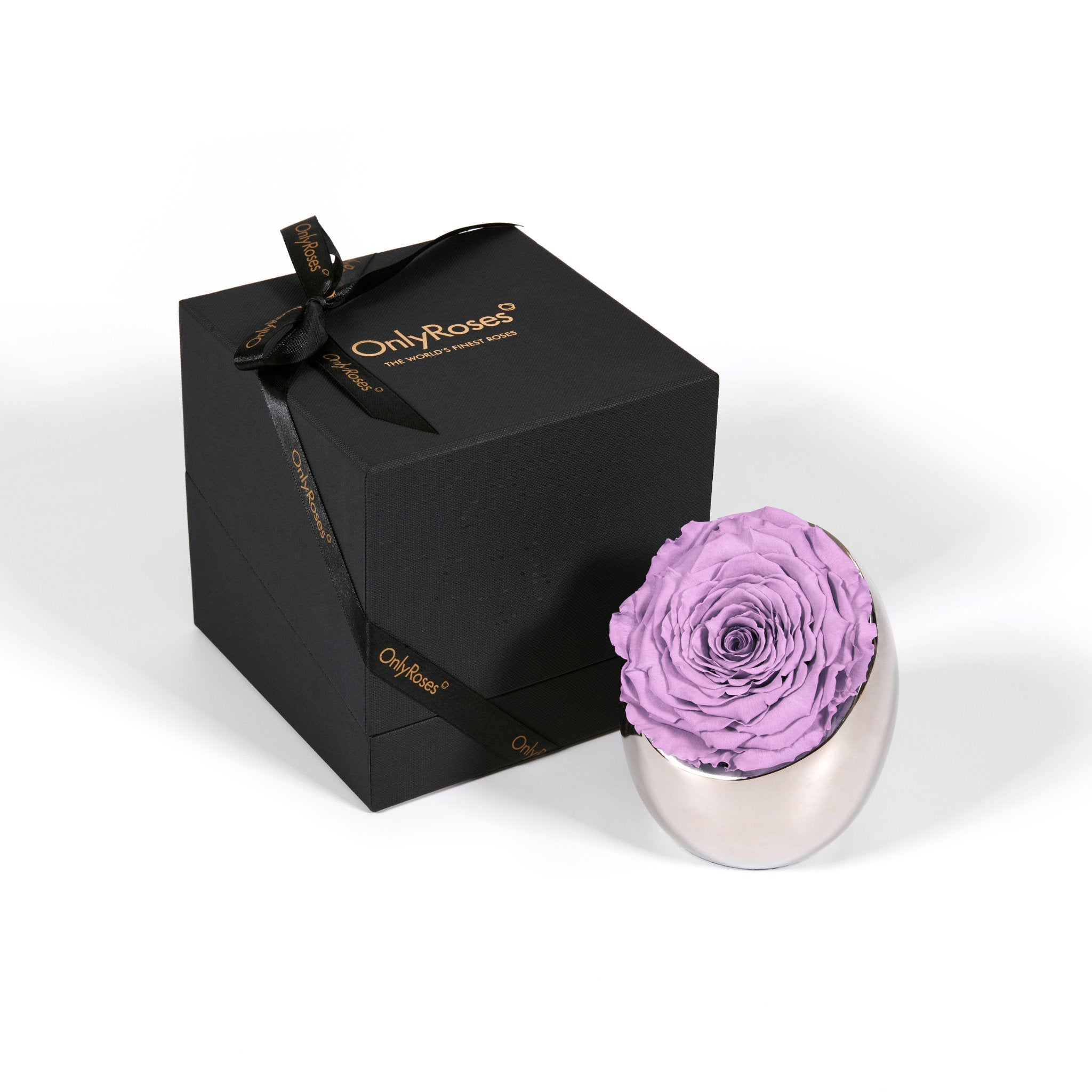 Infinite Rose Luna