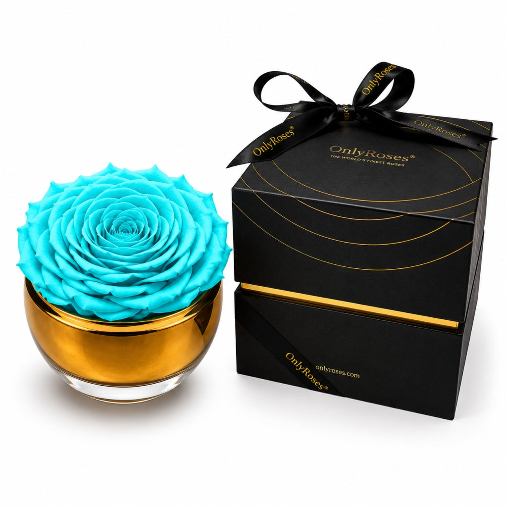 Infinite Rose Aurelia by OnlyRoses Kuwait