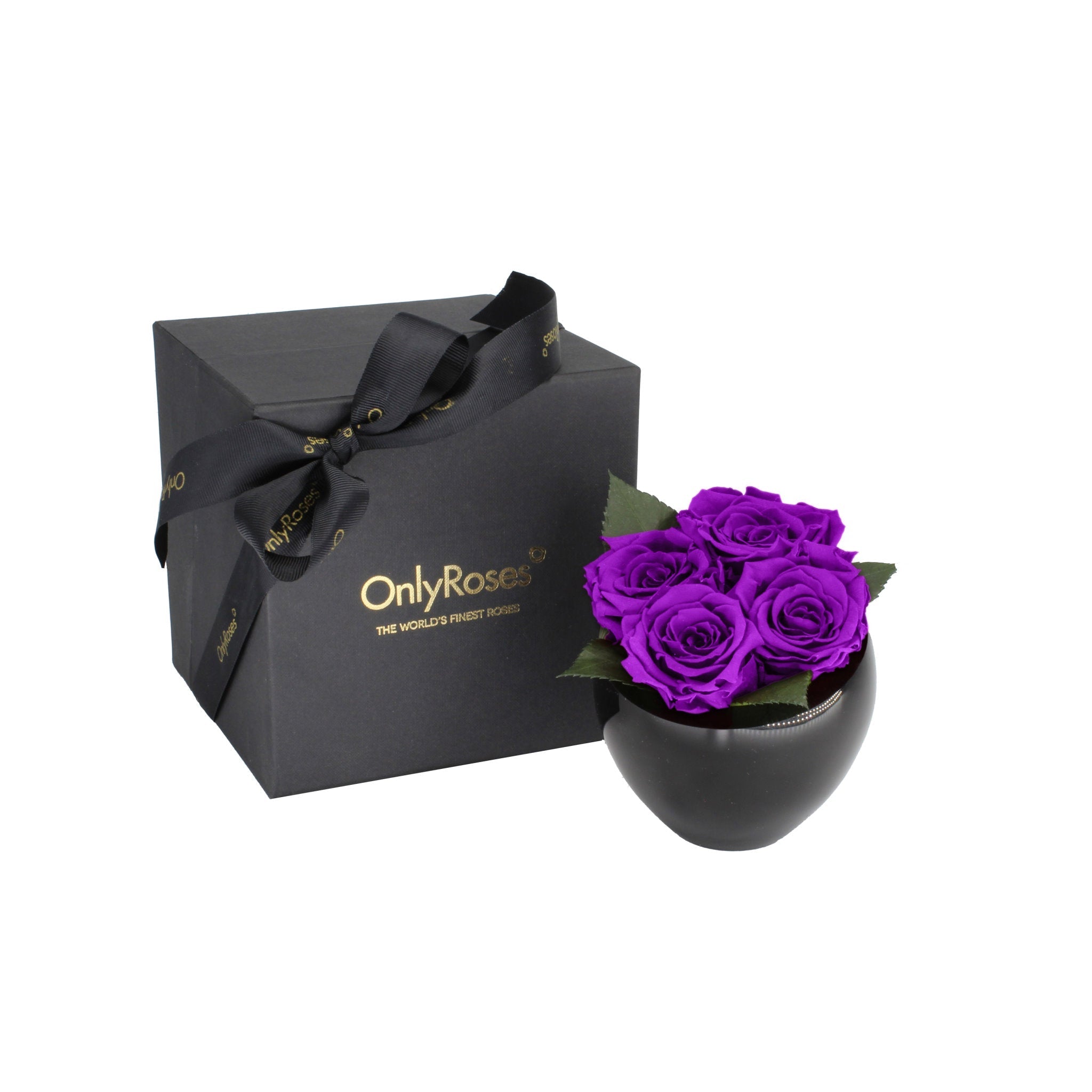 Black box with a bow and 'Only Roses' branding next to a black vase with purple roses on a white background