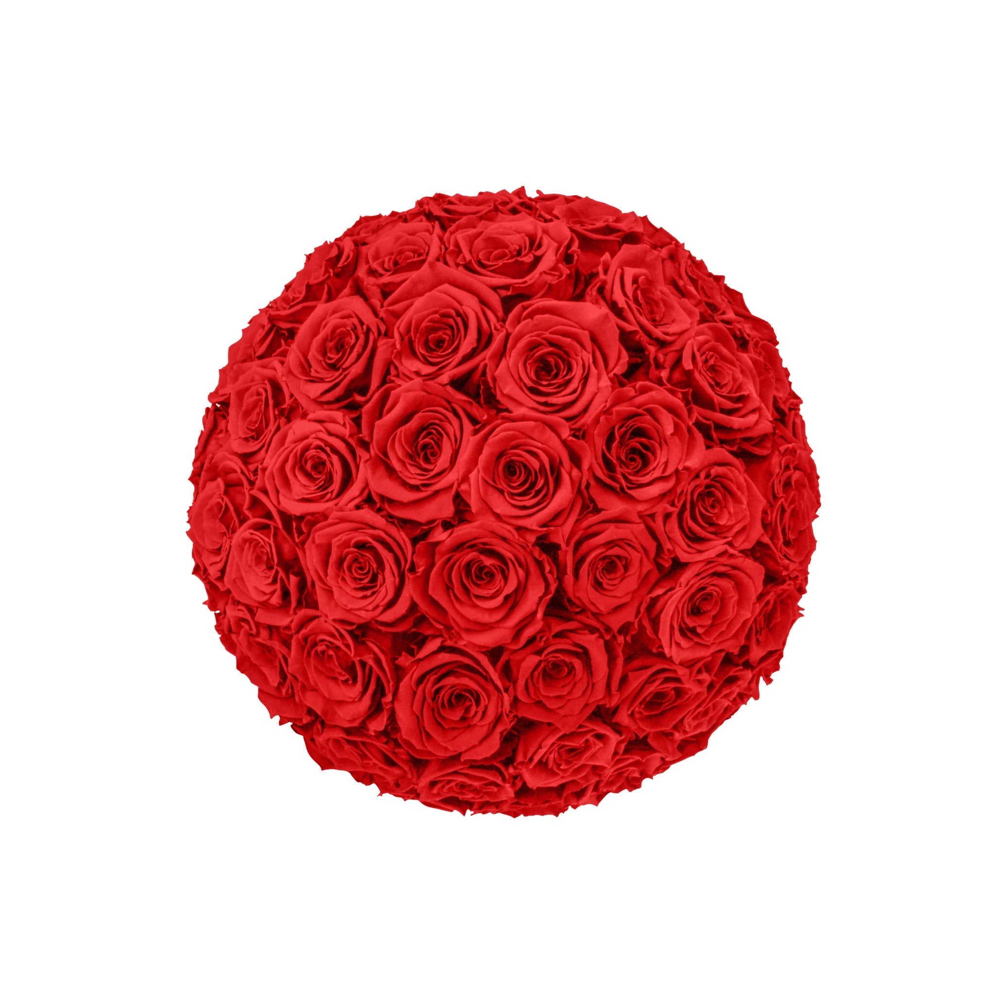 Ball of red roses on a white background