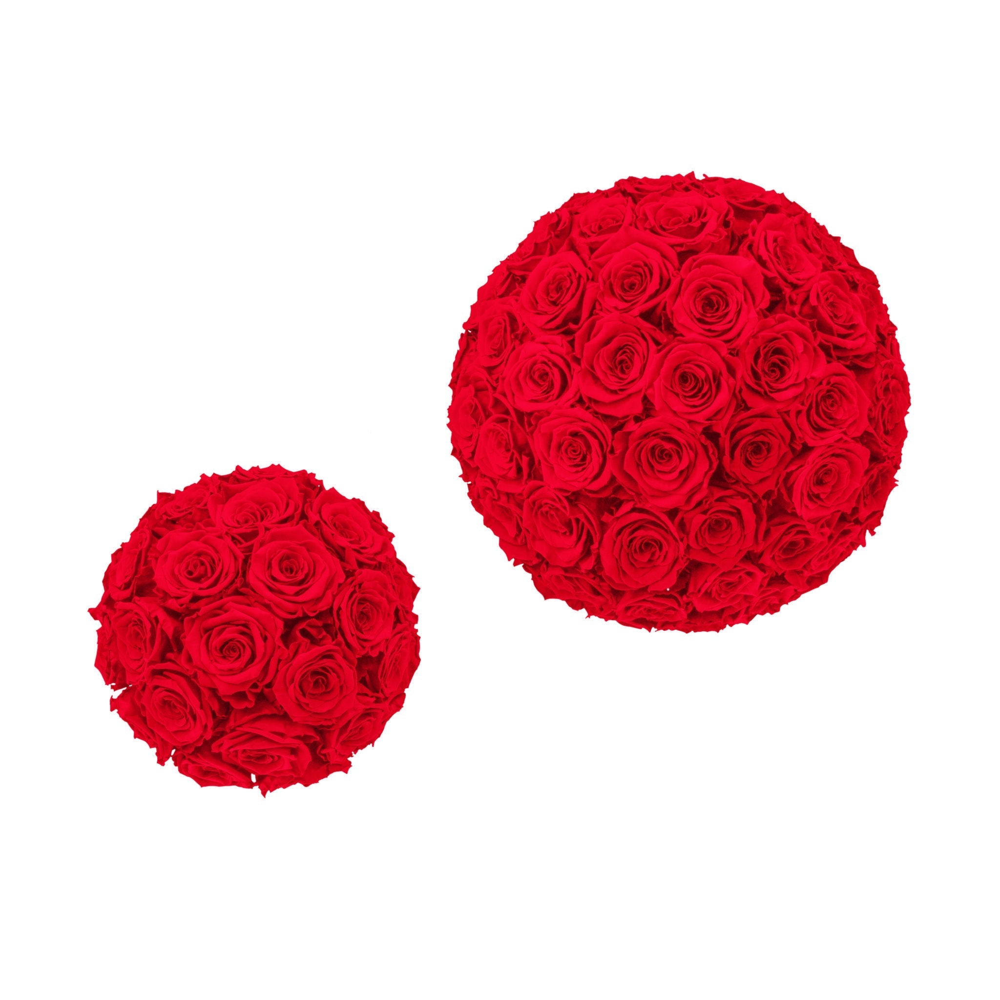 Two red rose balls on a white background