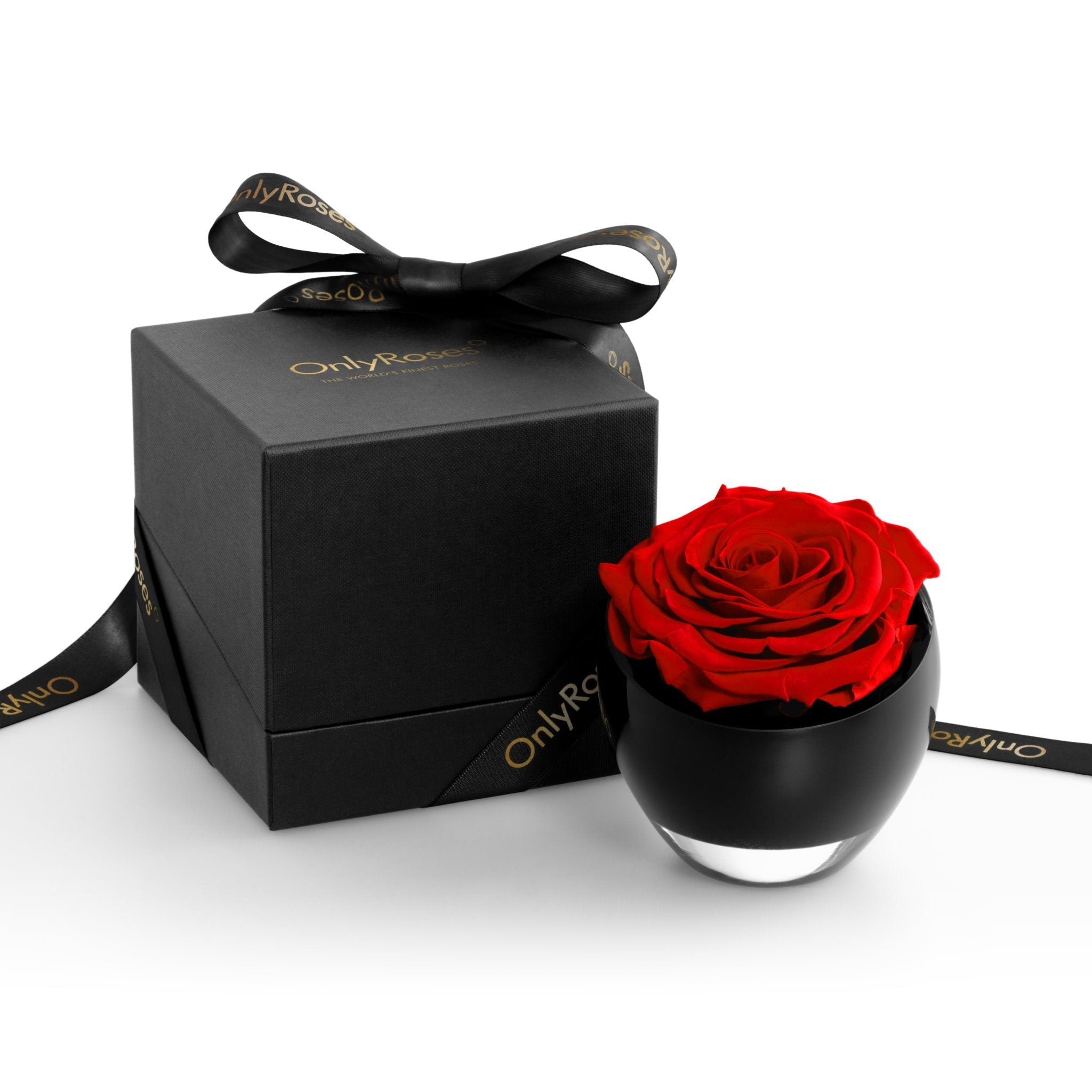 Black box with a red rose and 'Only Roses' branding on a white background