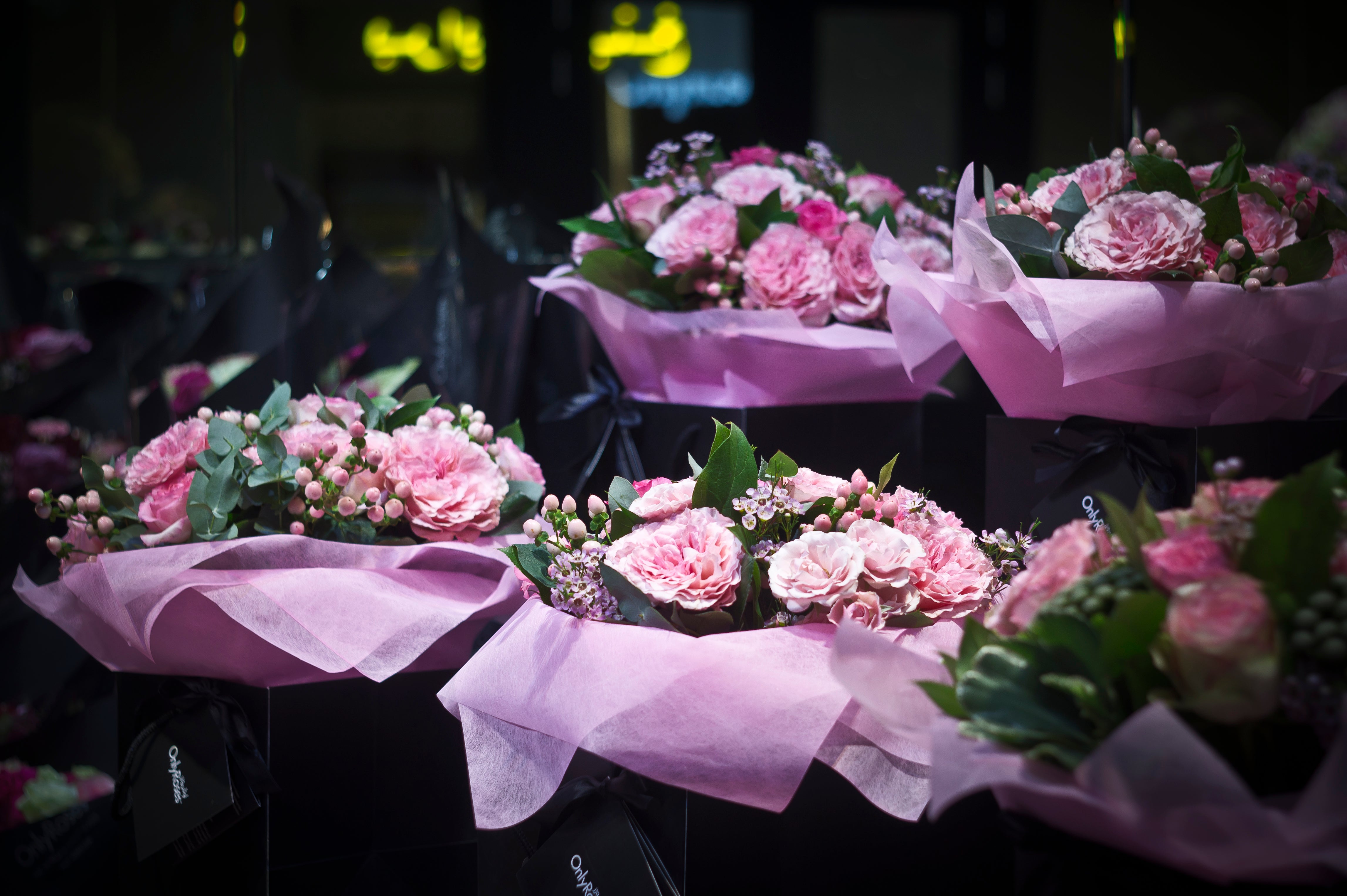 Celebrating International Women’s Day 2026: Honouring Achievements, Inspiring Futures