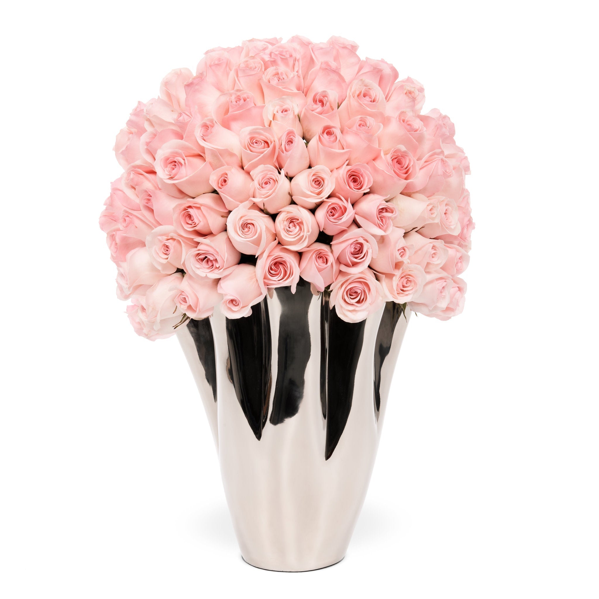 Classic Rose Lady Jane