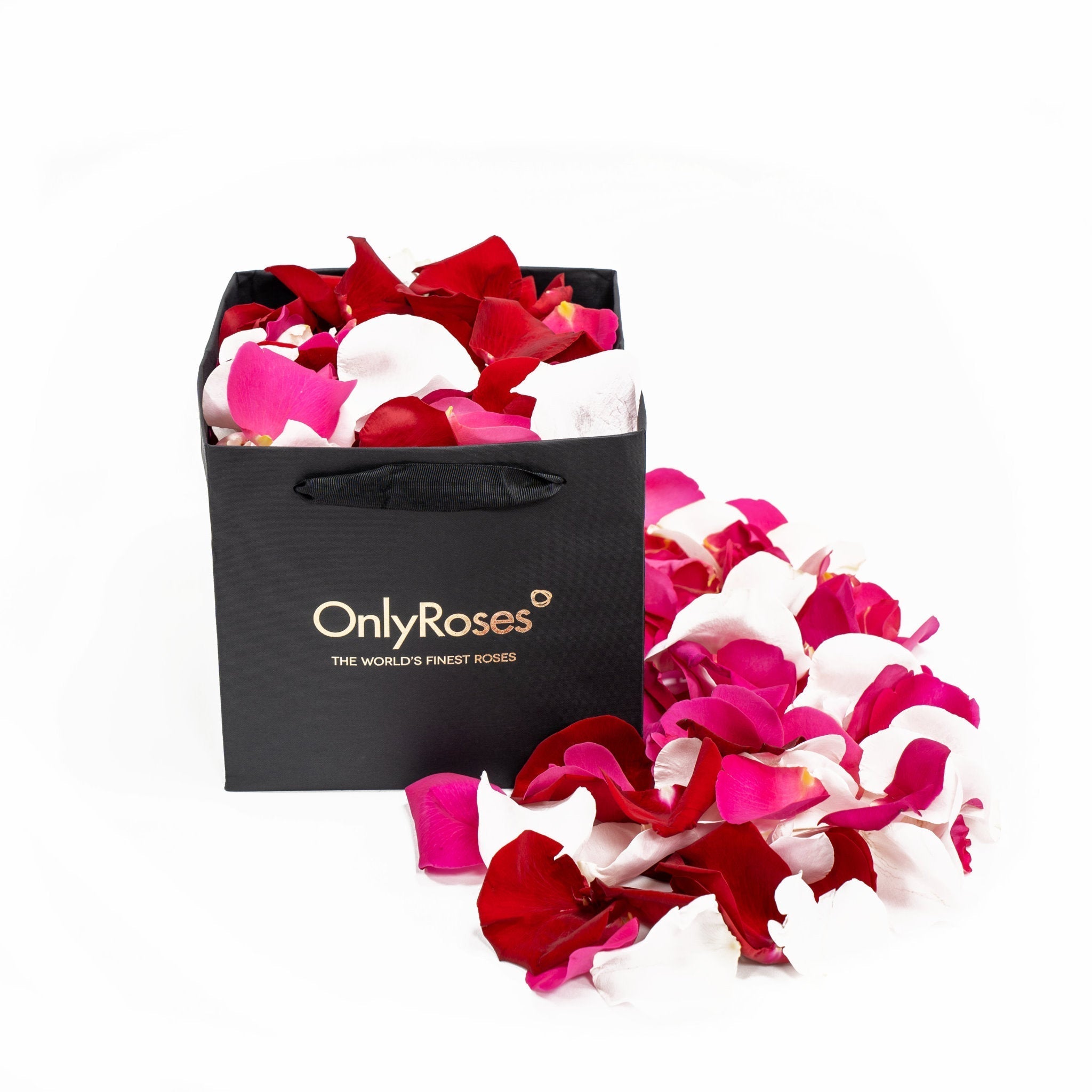 Classic Rose Petals