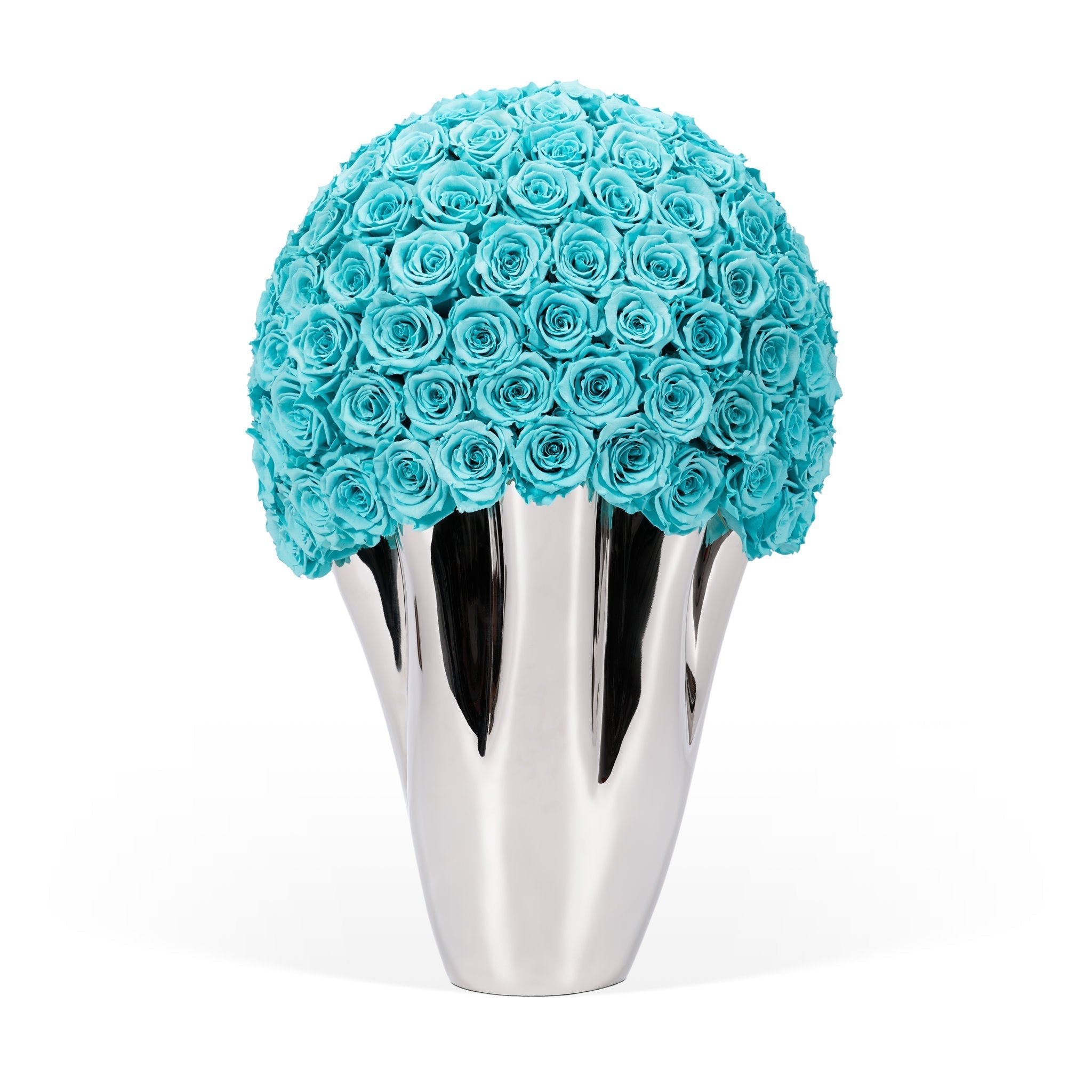 Infinite Rose Lady Jane