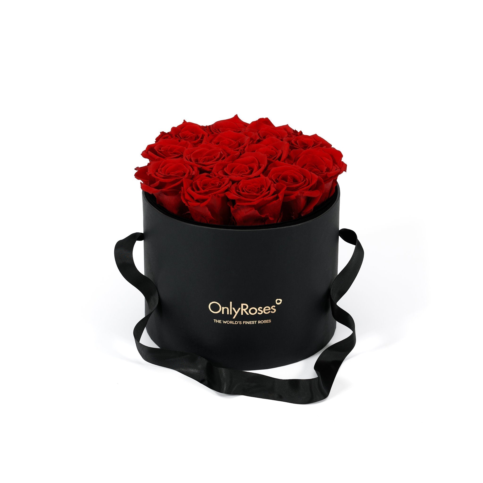 Infinite Rose Waldorf