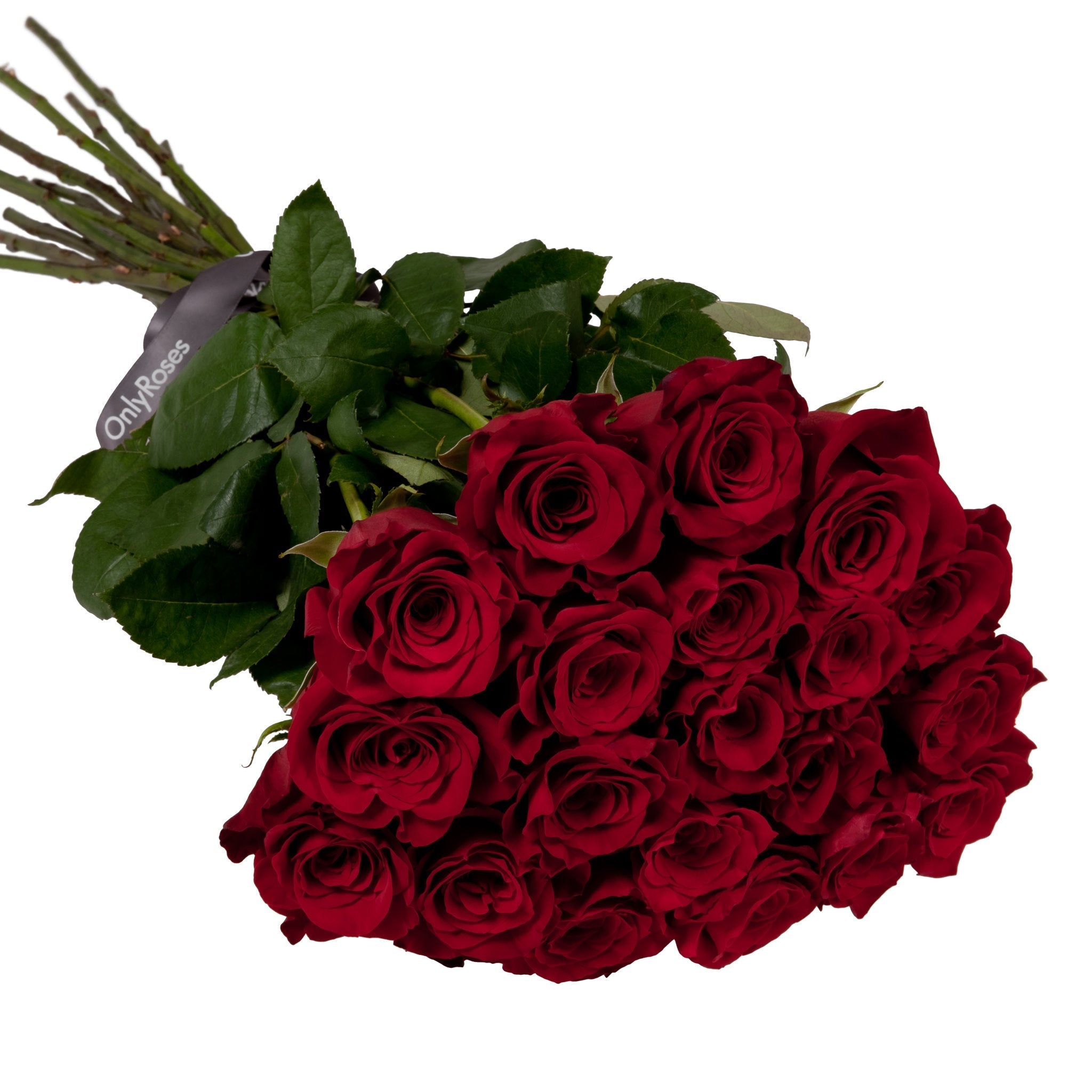 Bouquet of red roses with green leaves on a white background, featuring the 'Only Roses' brand.