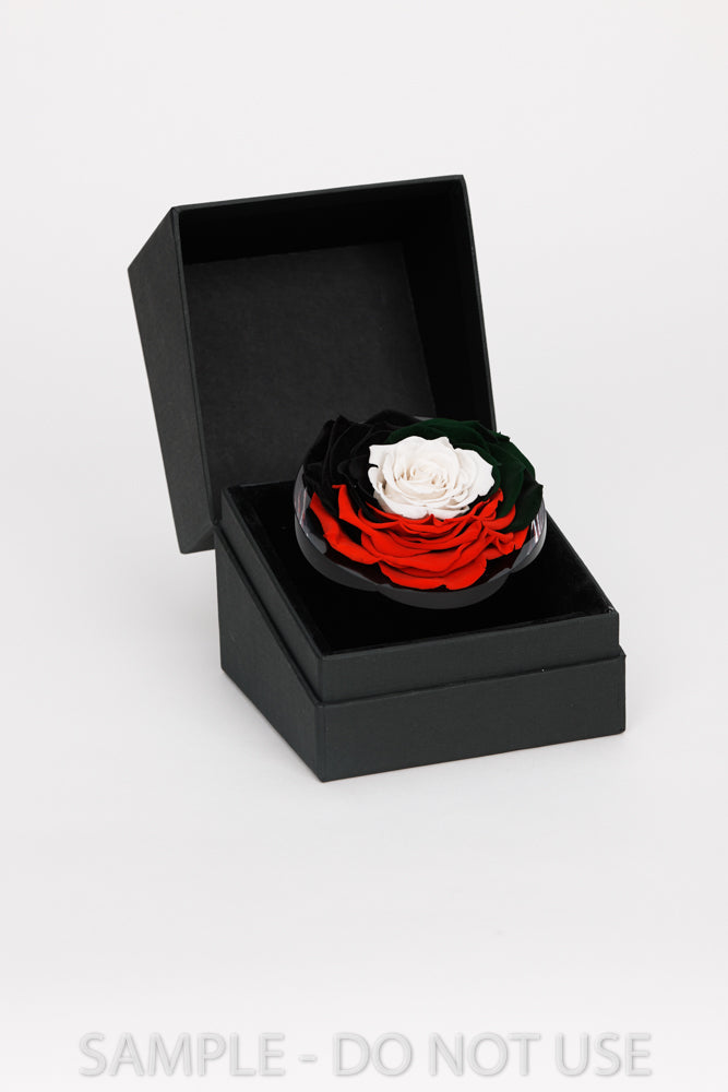 Black box with a rose-shaped container holding red and white roses on a light gray background.