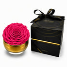 Pink rose in a gold container with a black box labeled 'Only Roses' on a white background
