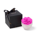 Pink rose in a white bowl with a black box featuring 'Only Moses' branding on a white background