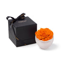 Orange rose in a white bowl next to a black gift box with a bow on a white background