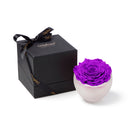 Purple rose in a white vase with a black gift box featuring 'Only Roses' branding on a white background.