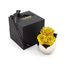 Yellow roses in a white vase next to a black box with 'Only Roses' branding on a white background
