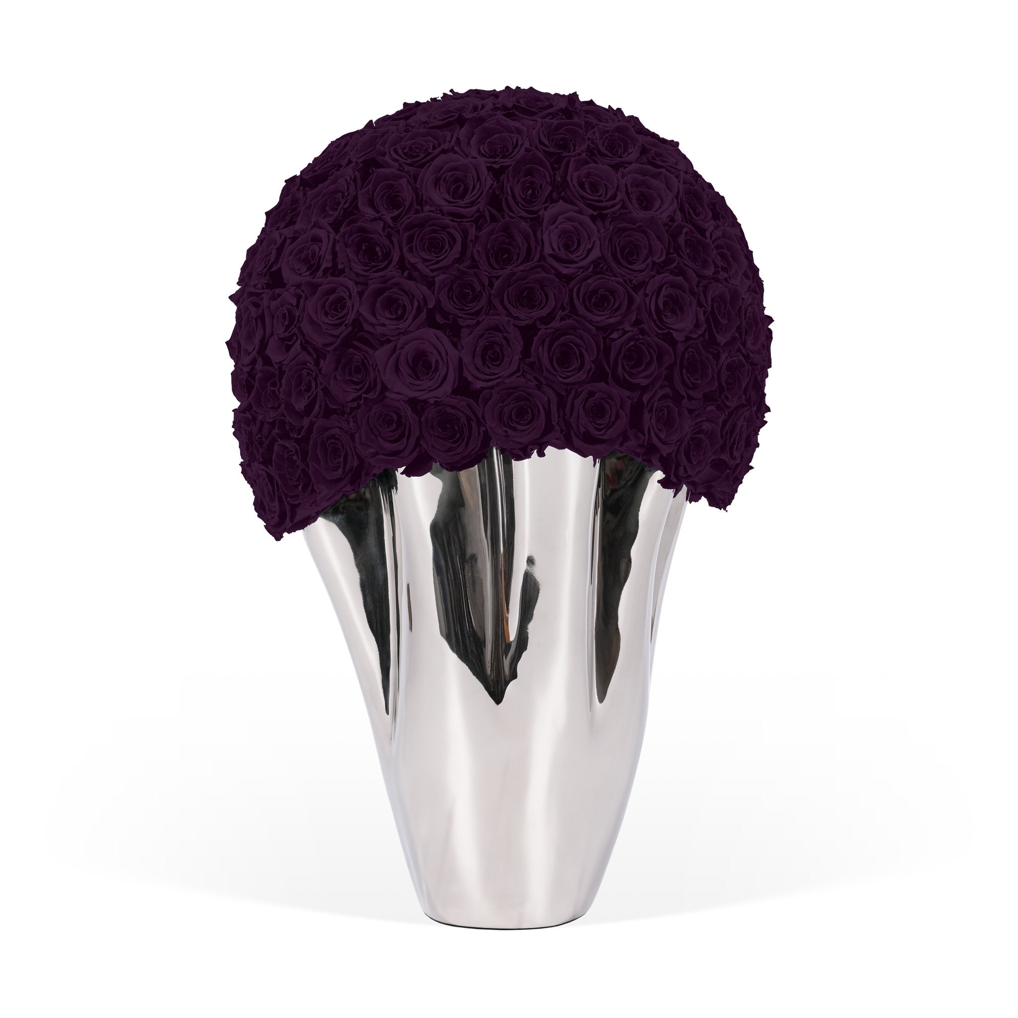 Silver vase with aubergine roses on a white background