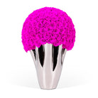 Silver vase with bright pink roses on a white background