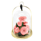 Pink roses under a glass dome with a gold base on a white background