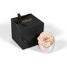 Black gift box with a pink rose and 'Only Roses' branding on a white background