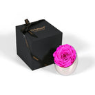 Pink rose in a silver holder next to an 'Only Roses' black box on a white background