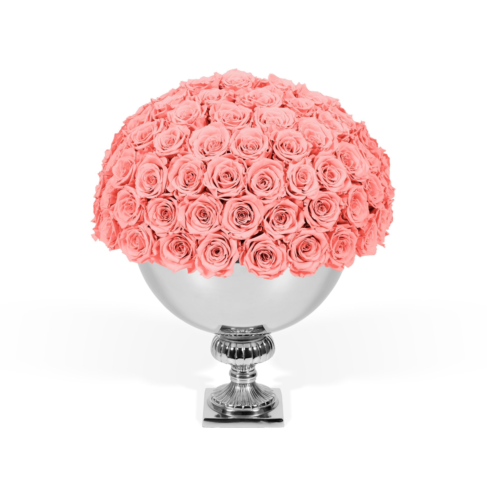 Bouquet of pink roses in a silver vase on a white background