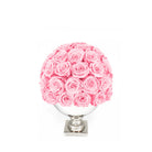 Pink rose ball in a white vase on a white background