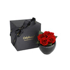 Black gift box with a black bow and 'Only Roses' branding next to a black vase with red roses on a white background.