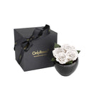Black gift box with a bow and a black vase with white roses on a white background, featuring 'Only Roses' branding.