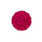 Bouquet of red roses on a white background