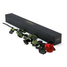 Red rose with green leaves in front of a black box labeled 'Only Roses' on a white background