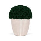 White vase with green artificial roses on a white background
