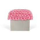 Pink rose box on a white background