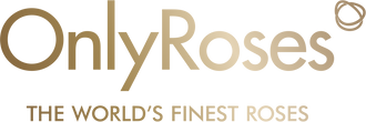 OnlyRoses Kuwait